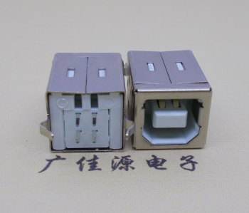 临沂USB BF180度母座 打印机接口 立式直插带赛