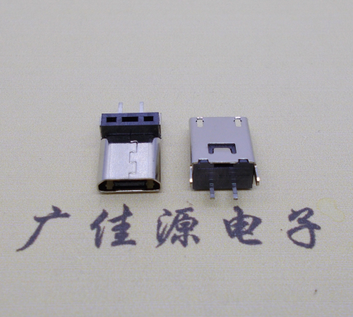 临沂micro 2p直插母座无卷边180度铆合式H=9.3、10.0、10.5、11.5mm