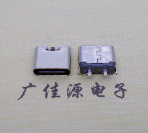 临沂铆合式type c2p母座两脚插板尾部带卡扣